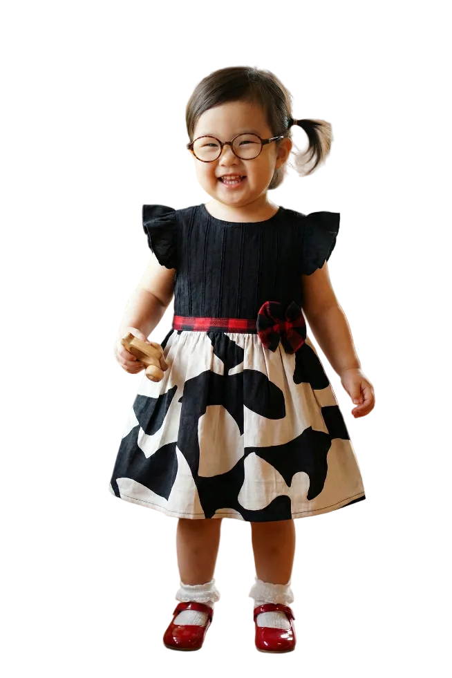 The Daisy Barnyard Dress Hampp