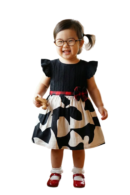 The Daisy Barnyard Dress Hampp