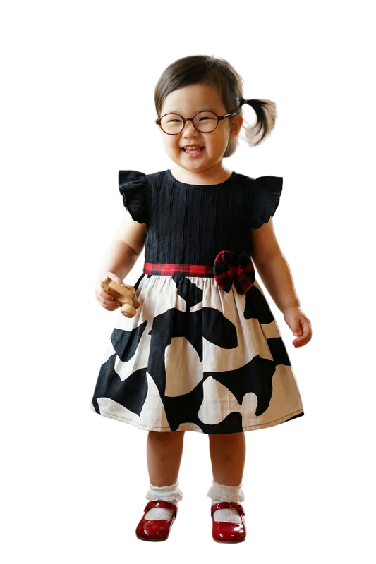 The Daisy Barnyard Dress Hampp